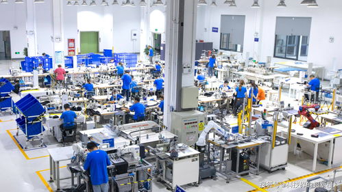 捂了三年，阿里的犀牛工廠到底在“織”什么？